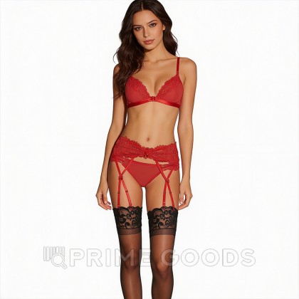 Красный пояс для чулок, размер S от sex shop primegoods фото 4