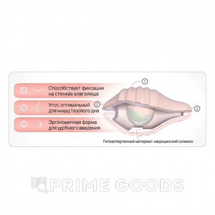Набор для тренировок интимных мышц Pelvix от FEMINTIMATE от sex shop primegoods фото 4