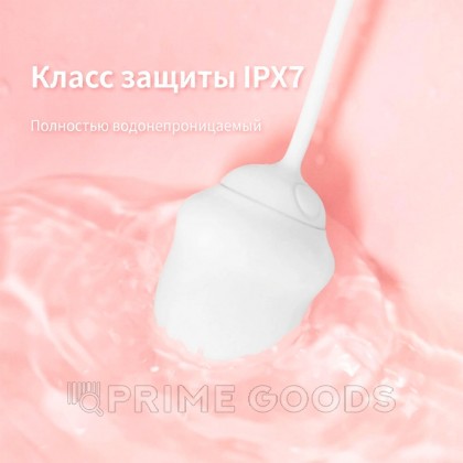 Виброяйцо DryWell Scarlett на дистанционном пульте управления от sex shop primegoods фото 7