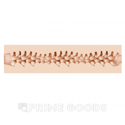 Мастурбатор Fleshlight Fantasy Evie Akashiya Sho Akuma (вагина) от sex shop primegoods фото 4