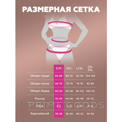 Контурный комплект с кружевом и стрепами Muse) (S/M) от sex shop primegoods фото 4