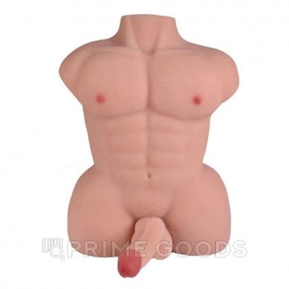 Мужской торс с фаллоимитатром (6 кг.) - primegoods.kz Мужской торс с фаллоимитатром (6 кг.) от sex shop primegoods