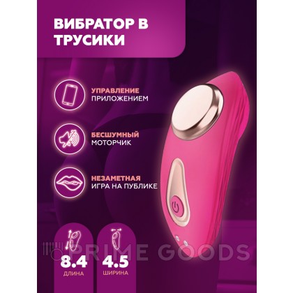 Вибратор в трусики My Extaz от sex shop primegoods