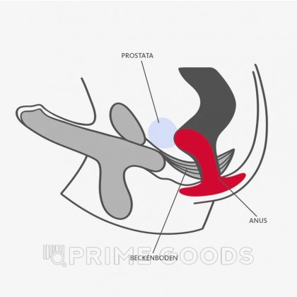 Анальная пробка Bootie (M) черная от Fun Factory от sex shop primegoods фото 3