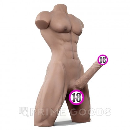 Сексуальный мужской торс с пенисом (15 кг) от sex shop primegoods