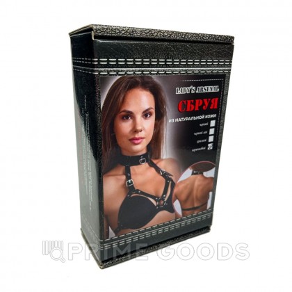 Сбруя с ошейником из темно-шоколадной кожи от sex shop primegoods фото 3