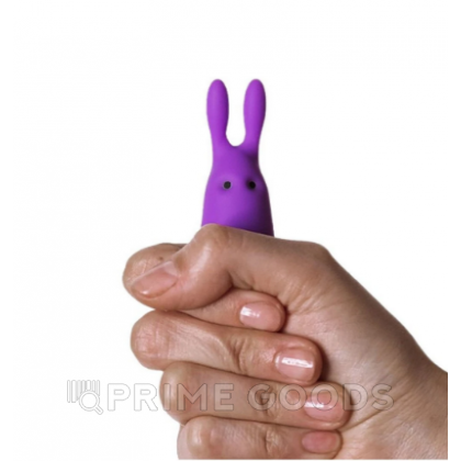 Карманный вибратор-кролик Rabbit Adrien Lastic фиолетовый от sex shop primegoods фото 7