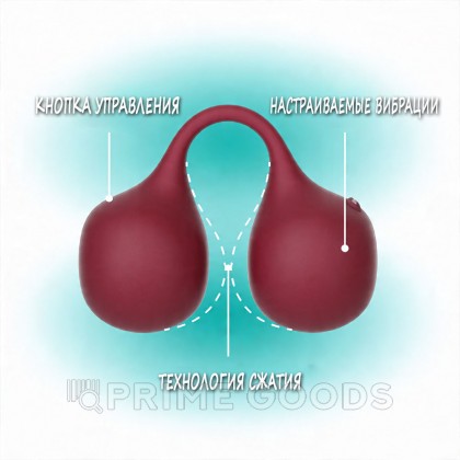 Стимулятор клитора с вибрацией SVibe Snail TWINN Clit Hugging Vibe вишневый от sex shop primegoods фото 4