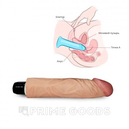Вибратор реалистик - 19 х 3,8 см.  от sex shop primegoods фото 4