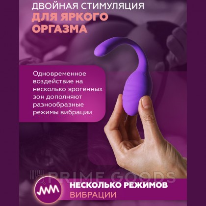 Стимулятор клитора и точки G Smart Dream II с пультом ДУ от Adrien Lastic от sex shop primegoods фото 9