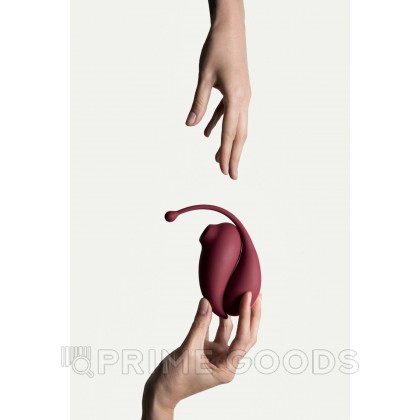 Клиторальный стимулятор и виброяйцо Inspiration от Adrien Lastic от sex shop primegoods фото 9