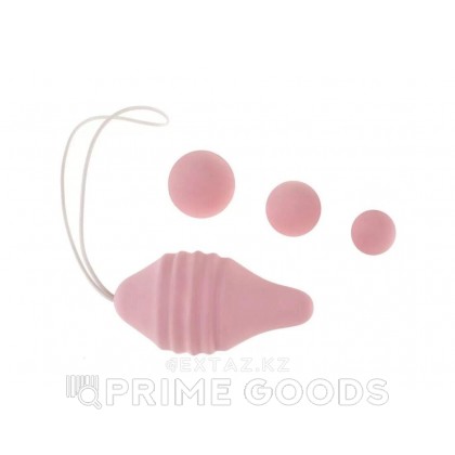 Набор для тренировок интимных мышц Pelvix от FEMINTIMATE от sex shop primegoods