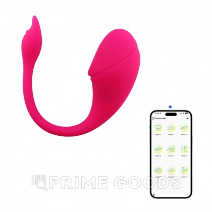 Виброяйцо с управлением через приложение Sharp tail от sex shop primegoods фото 5