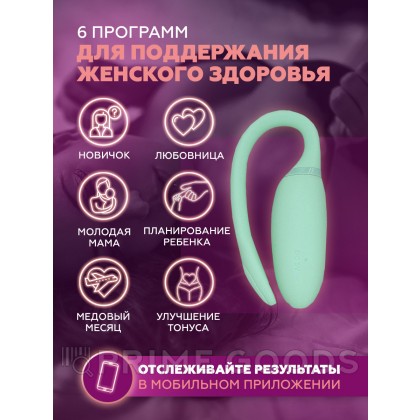 Smart-вибратор Magic Motion Flamingo от sex shop primegoods фото 5