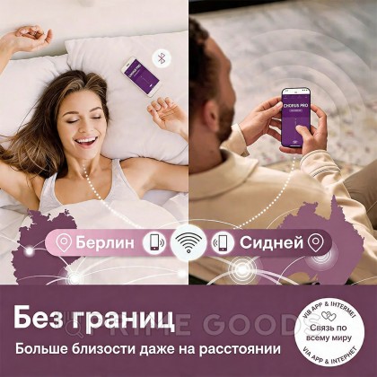 Вибратор для пар We-Vibe Chorus Pro черный от sex shop primegoods фото 16
