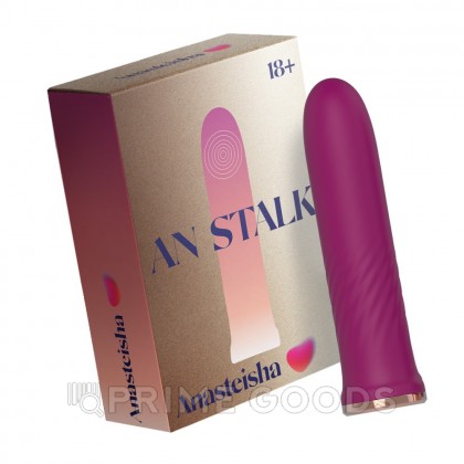 Элегантный миниатюрный вибромассажер AN Stalk от Anasteisha от sex shop primegoods фото 2
