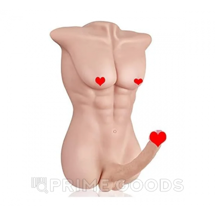 Спортивное мужское тело с фаллоимитатором (8,5 кг.) от sex shop primegoods фото 3