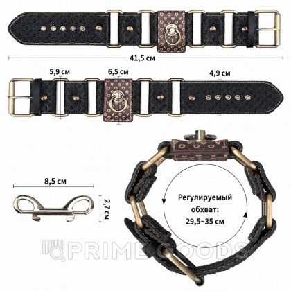 Оковы для ног Rebellion Reign от sex shop primegoods фото 2