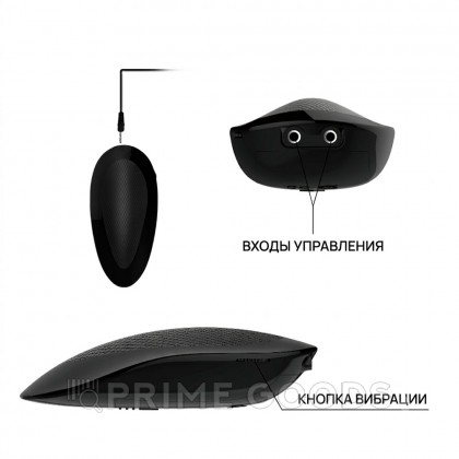 Реалистичный вибратор с пультом на проводе Barbara (22 см) от sex shop primegoods фото 5