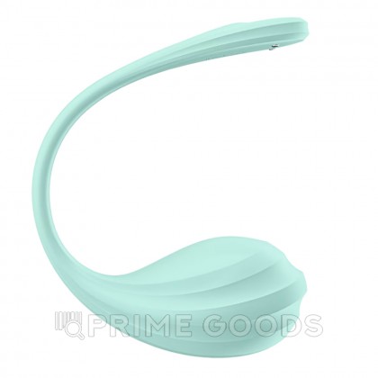 Виброяйцо Satisfyer Smooth Petal бирюзовый (Connect App) от sex shop primegoods