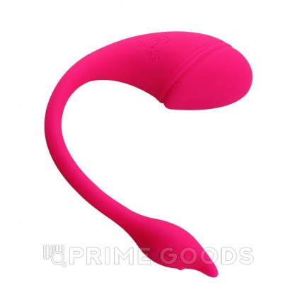 Виброяйцо с управлением через приложение Sharp tail от sex shop primegoods фото 3