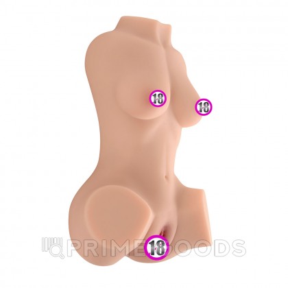 Сексуальный женский торс с вагиной и анусом Susie от sex shop primegoods фото 5