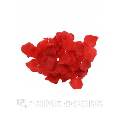 Любовный набор Lovetoy Starter Kit Черный от sex shop primegoods фото 6
