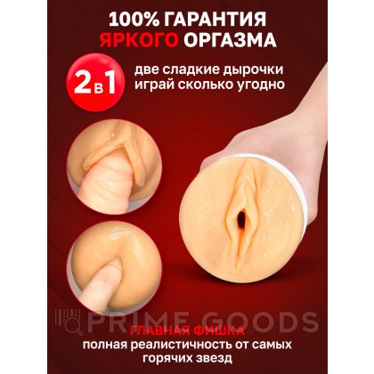 Двухсторонний мастурбатор ФлешНаш Элли Брилсен 2.0, 22х8 см от sex shop primegoods фото 6