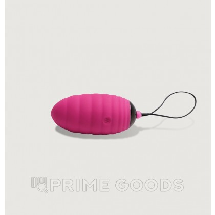 Виброяйцо с пультом ДУ Ocean Breeze Pink 2.0 от Adrien Lastic от sex shop primegoods фото 2