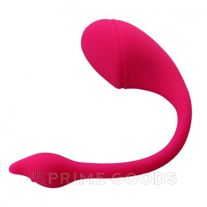 Виброяйцо с управлением через приложение Sharp tail от sex shop primegoods фото 4