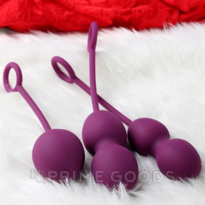 Набор тренажеров Кегеля Nova со смещенным центром тяжести от SVAKOM от sex shop primegoods фото 2