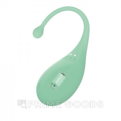 Виброяйцо Palpitation Mint от Adrien Lastic (синхронизация с приложением) от sex shop primegoods фото 8